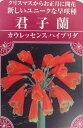 原種系君子蘭(クンシラン) カウレッセンスハイブリッダ ポット苗(h30)