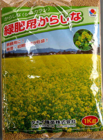 からしなの種(カラシナ) 1kg緑肥・景観用　殺菌効果で注目