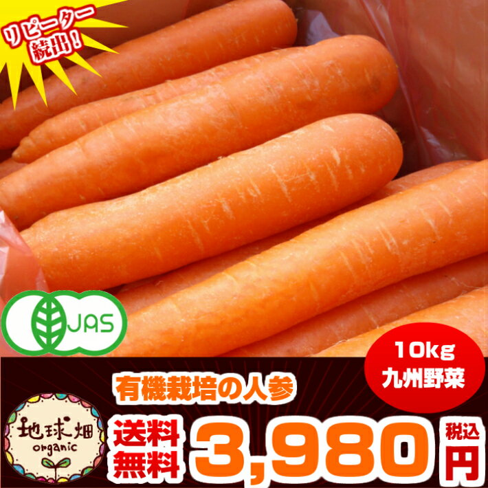 【送料無料】 有機栽培 人参 10kg 鹿児島県産 宮崎県産 【にんじん】 ニンジン...:chikyubatake:10000394