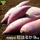 紅はるか 9kg 有機栽培 鹿児島県産 宮崎県産 土付き さつまいも 薩摩芋 サツマイモ か