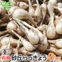 【5月下旬以降発送予定】薩摩砂丘らっきょう 8kg 有機栽培 土付き 化学肥料・農薬不使