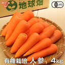 人参 4kg 有機栽培 鹿児島県産 宮崎県産 有機JAS認証 洗い にんじん ニンジン organic