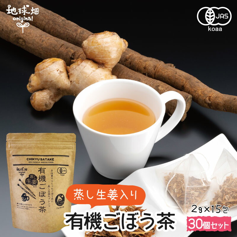 有機 蒸し 生姜 ごぼう茶 国産 ティーパック 無添加 2g×15包×30p ゴボウ 牛蒡 しょうが ショウガ 有機栽培 JAS ノンカフェイン オーガニック ジンジャー 生姜湯 業務用 まとめ買い