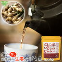 有機生姜ごぼう茶 ティーバッグ 2g×6包(メール便送料無料)有機栽培 国産 鹿児島県産 宮崎県産 ゴボウ しょうが 生姜 牛蒡 生姜湯 ジンジャー 無添加 無農薬 JAS認証 イヌリン 食物繊維 ノンカフェイン【代引・後払い不可】