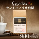 【コロンビア】サントゥアリオ農園180g(珈琲 珈琲豆 コーヒー コーヒー豆 サードウェーブコーヒー シングルオリジン)※こちらは豆でのお届けとなります。