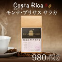 【コスタリカ】モンテ・ブリサス サラカ180g(珈琲 珈琲豆 コーヒー コーヒー豆 サードウェーブコーヒー シングルオリジン)※こちらは豆でのお届けとなります。