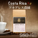 【コスタリカ】アキアレス農園180g(珈琲 珈琲豆 コーヒー コーヒー豆 サードウェーブコーヒー シングルオリジン)※こちらは豆でのお届けとなります。
