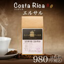 【コスタリカ】エルサル180g(珈琲 珈琲豆 コーヒー コーヒー豆 サードウェーブコーヒー シングルオリジン)※こちらは豆でのお届けとなります。