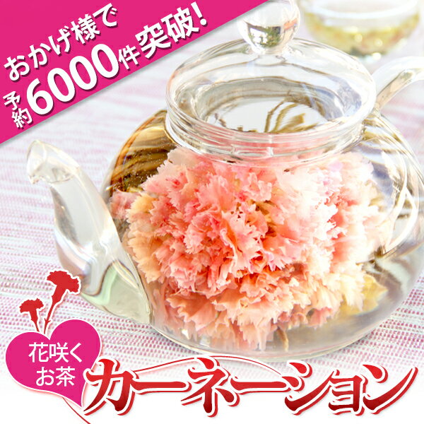 母の日 カーネーションのお花咲く工芸茶10種類とティーポット ギフト 優雅セット 送料無料