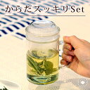 からだスッキリセット/苦丁茶40gとガラスマグ/ノンカフェイン デカフェ カフェインレス 送料無料 /父の日 キャッシュレス還元