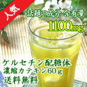 ケルセチン配糖体濃縮カテキン 粉末パウダー60g