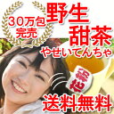 【送料無料】30万包完売！花粉の時期に甜茶ポリフェノール5倍が大人気のバラ科の甜茶を【100％使用】で大人気 てん茶甜茶ポリフェノール5倍の野生のバラ科のてん茶を100%使用　美容健康茶【野生甜茶】 てん茶 送料無料 テン茶 てんちゃ テンチャ 甜茶 花粉 ティーバッグ ティーパック パウダーティー 粉末 パウダー 粉末茶 サプリ サプリメント　花粉メガネ