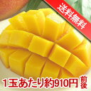 ◇デザート2.5kg前後完熟マンゴー1玉あたり！アップルマンゴーの本家「台湾」から直輸入で余計なコストをカット。今年の夏はたっぷり召し上がりませんか？
