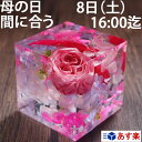 8日16時迄 母の日 まだ間に合う 母の日 まだ間に合う クリスタルハーバリウム フラワーキューブ 送料無料 母の日2021 プレゼント ローズ 3D 母の日ギフト 固める 固まる おしゃれ 送料無料 アートリウム 枯れない プリザーブドフラワー 着日指定OK md