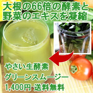 やさい生酵素入りスムージー・ジップパック100g 送料無料 酵素サプリ サプリ 酵素サプリメント サプリメント 酵素ダイエット 酵素 ダイエット グリーンスムージー 粉末 パウダー 酵素ドリンク 酵素飲料 酵素液 ファスティング 青汁 酵素配合 生酵素 楽天 彩香