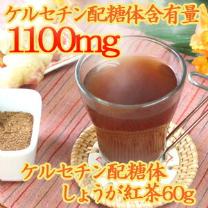 ケルセチン配糖体しょうが紅茶60g...:chinatea:10007020