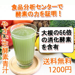 やさい生酵素青汁 【送料無料】 酵素 生酵素 ダイ