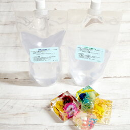 2液性シリコン樹脂液1kg(500g×2) DIY クリスタル ソフトレジン アクセサリー 花標本 固まる<strong>ハーバリウム</strong> ハンドメイド 工作 標本 ピアス キーホルダー ネックレス 手芸用品 ホビー用品 自由研究 固まる<strong>ハーバリウム</strong>オイル