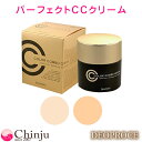3重機能性が認証された魔法の CCクリーム! DEOPROCE ( ディオプラス ) 選べる2色( 21号23号 ) UV SPF49 PA++ 40g BBクリーム 韓国コスメ 化粧下地 日焼け止め メイクアップ ファンデーション