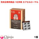  gQ JvZ[i gQCAPSULE ROYAL j500mg~150JvZ(75g) lQ gQ zT T|j gQGLX Tv