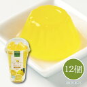 しいの食品 ●伊豆ニューサマーオレンジゼリー 12個