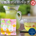 〈 知覧茶 ティーバッグ 3g×5包 2袋セット 〉 水出し 緑茶 知覧産 お茶 日本茶 深蒸し茶 煎茶 抹茶 100%国産 九州 鹿児島県産 知覧 定形外送料無料 ティーパック 500円 ポッキリ