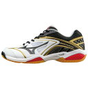 【在庫品】ミズノ ウエーブファング SS WAVE FANG SS 71ga151009 タイムセール バドミントン シューズ ローカット MIZUNO 2015年秋冬モデル