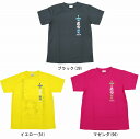 最大450円OFFクーポン付 ゴーセン 2016年夏企画ソフトテニスTシャツ アタック止め J16P15 ユニセックス Tシャツ ソフトテニス 軟式テニス ラッキーシール対応
