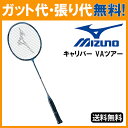 【在庫品】 ミズノ キャリバー VAツアー 73JTB603 送料無料! バドミントン ラケット M