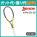 【在庫品】スリクソン レヴォ CV 3.0 SR21802 2018SS