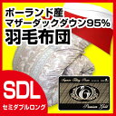 羽毛布団 セミダブル ロング【送料無料】羽毛掛け布団(418柄・ポーランド産ホワイトマザーダックダウン95%)セミダブル ロング/プレミアムゴールドラベル付き/日本製/ダウンパワー440/立体キルト/軽量素材/寝具/羽毛掛布団 羽毛布団