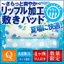 【最安値に挑戦中!】【あす楽対応】BASIC爽快!
