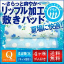 【送料込!】【あす楽対応】BASIC爽快!リップル