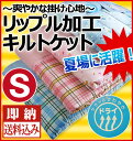 【あす楽対応】【送料込!!】BASIC 爽快リップ