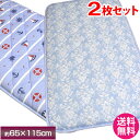 【お得な2点セット】【送料無料】涼感ひんやりごろ寝敷き布団 65×115cmひんやりICE DRY 接触冷感 クール COOL 大判長座布団 ざぶとん お昼寝 ふとん ザブトン クッション ごろ寝マット ふっくらアイスドライ ゴロ寝敷布団【ラッピング不可】