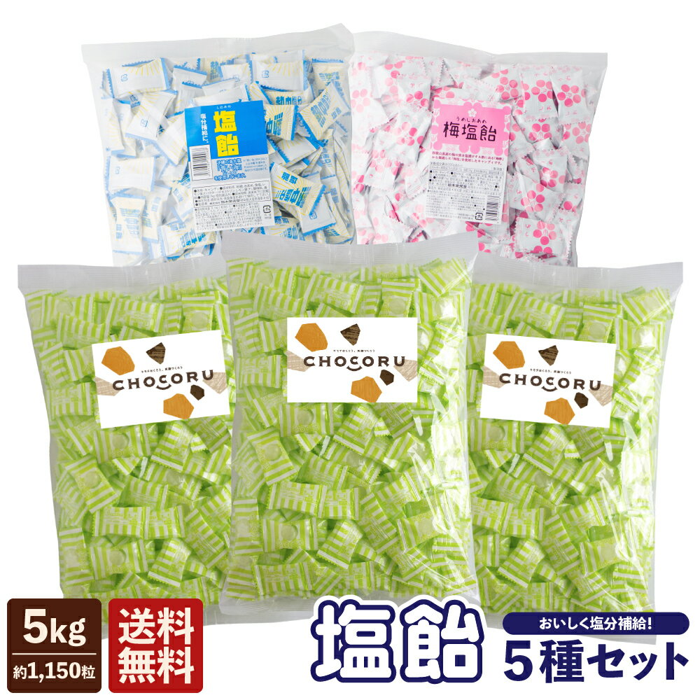 熱中症・夏バテ対策！まとめ買い 塩飴5種セット（約1150粒） 【 塩飴熱中症対策 塩分補給 レモン 梅 サイダー 塩あめ キャンディ <strong>熱中飴</strong> 大袋 大容量 業務用 個包装 送料無料 】 沖縄 クエン酸 おすすめ