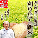 送料無料 「香り米」つき! 「刈りたて新米」 2キ