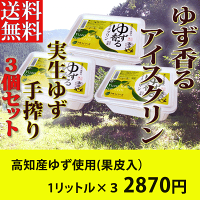 ★送料無料「ゆず香るアイスクリン」「業務用」1L×3個セット高知産「実生ゆず」使用手しぼり果汁5%果皮入り★