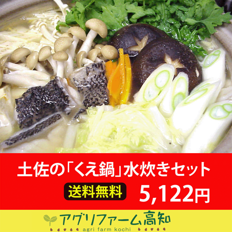 ★送料無料！◆土佐の「くえ鍋」水炊きバリューセット【土佐のアイスクリン付き】★[凍]※代金引換は手数料+324円必要です