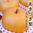 あきづき梨 秋月梨 大玉限定 高知産 大玉3玉セット 約1.5キロ 濃厚な甘さとシャキシャキの食感 産地直送 国産 果汁たっぷり 甘い 高糖度 梨 ナシ 水菓子 ギフト プレゼント【Cool delivery】