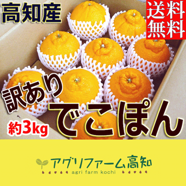 ★送料無料 訳あり「でこぽん(デコポン、不知火)」 約3キロ 高知産 見た目のよくないワケアリ品 9〜14玉入(玉数おまかせ)★
