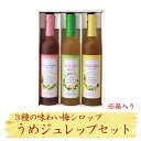 うめジュレップセット:500ml【歳暮/冬のギフト/青梅/メイソンジャー/テレビ/よーいドン!/かき氷/カキ氷/シロップ/梅ジュレップ/梅シロップ/中元/夏ギフト/健康ジュース/うめ/ジュース/ギフト/手土産/紀州南高梅/出産/内祝い/中野BC/楽天】【バレンタイン】