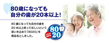 【送料無料】らくれん 8020ヨーグルト 110g×20個入【クール便配送】