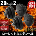 大決算!【送料無料/在庫有】 ダンベル 20kg × 2個 セット ローレット加工で滑りにく