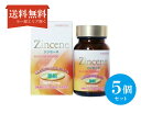 【送料無料】(5個セット)ジンセーヌ 亜鉛 120粒 ジェヌインR&D