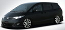 エスティマ ACR5/GSR5/ 2006/1~2008/11 フロントリップスポイラー 塗装済 ロジャム