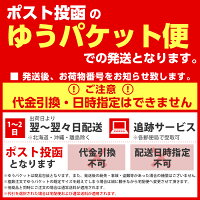 【メール便送料無料】メニューブックエコ4ページA4DAG【おしゃれ】【業務用】