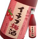 中野BC(株)紀州のイチゴ(いちご)梅酒 720ml 【季節限定★少量生産】 