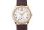 yÁzsAWF@Oxi[@Ref.15968@1990N(PIAGET GOUVERNEUR Ref.15968 YG Ca.1990's)