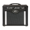 PEAVEY Rage 258 25W ギターアンプ 【国内正規品】